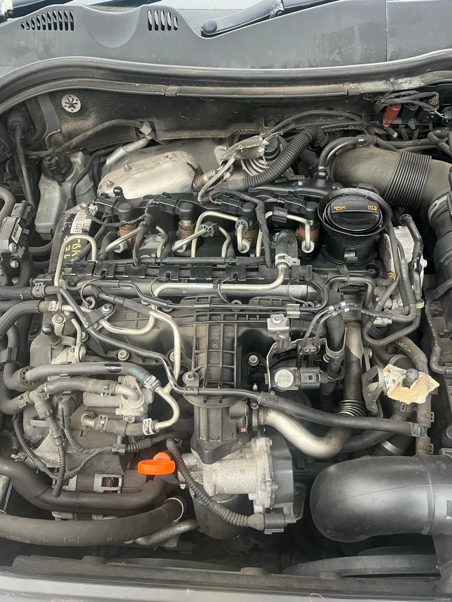 2013 R-Line Passat - Image 5