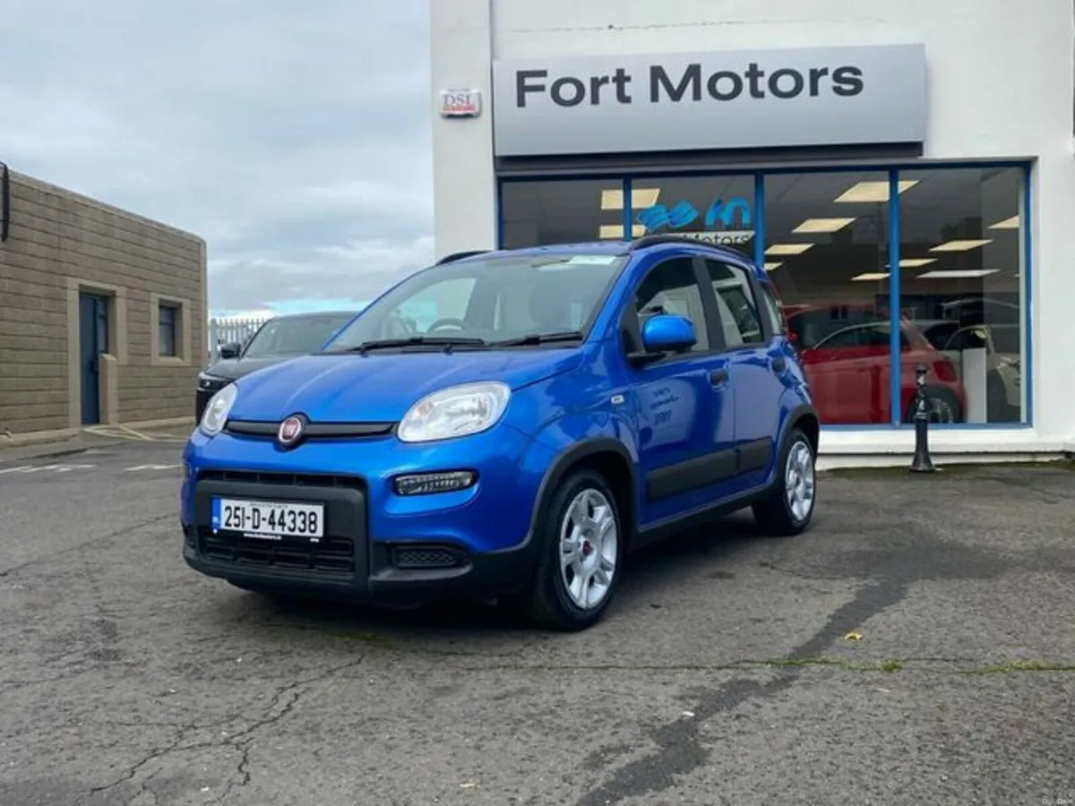 Fiat Panda 1.0 Mhev - Image 1