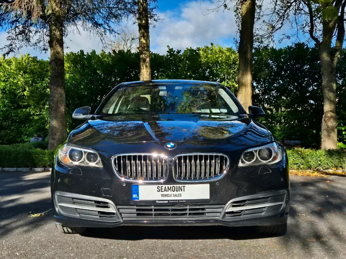 2015 BMW 520d SE Auto  - 88,235 Miles - Image 4