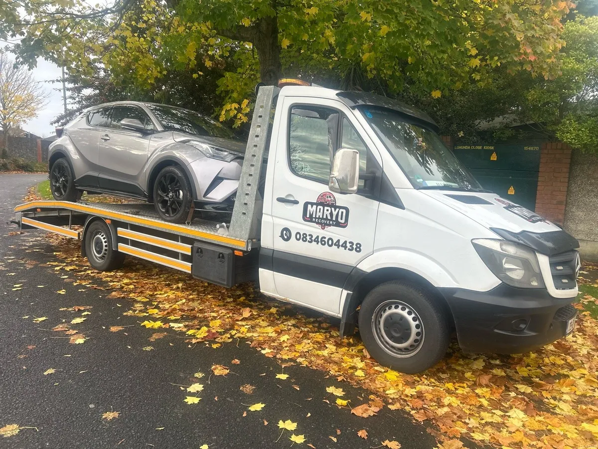 Dublin recovery - Image 2