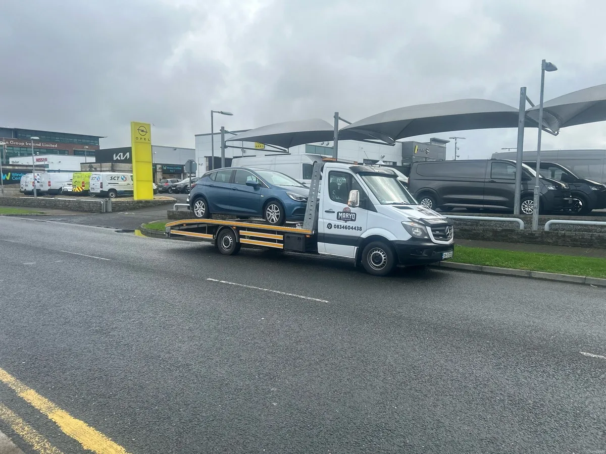 Dublin recovery - Image 3