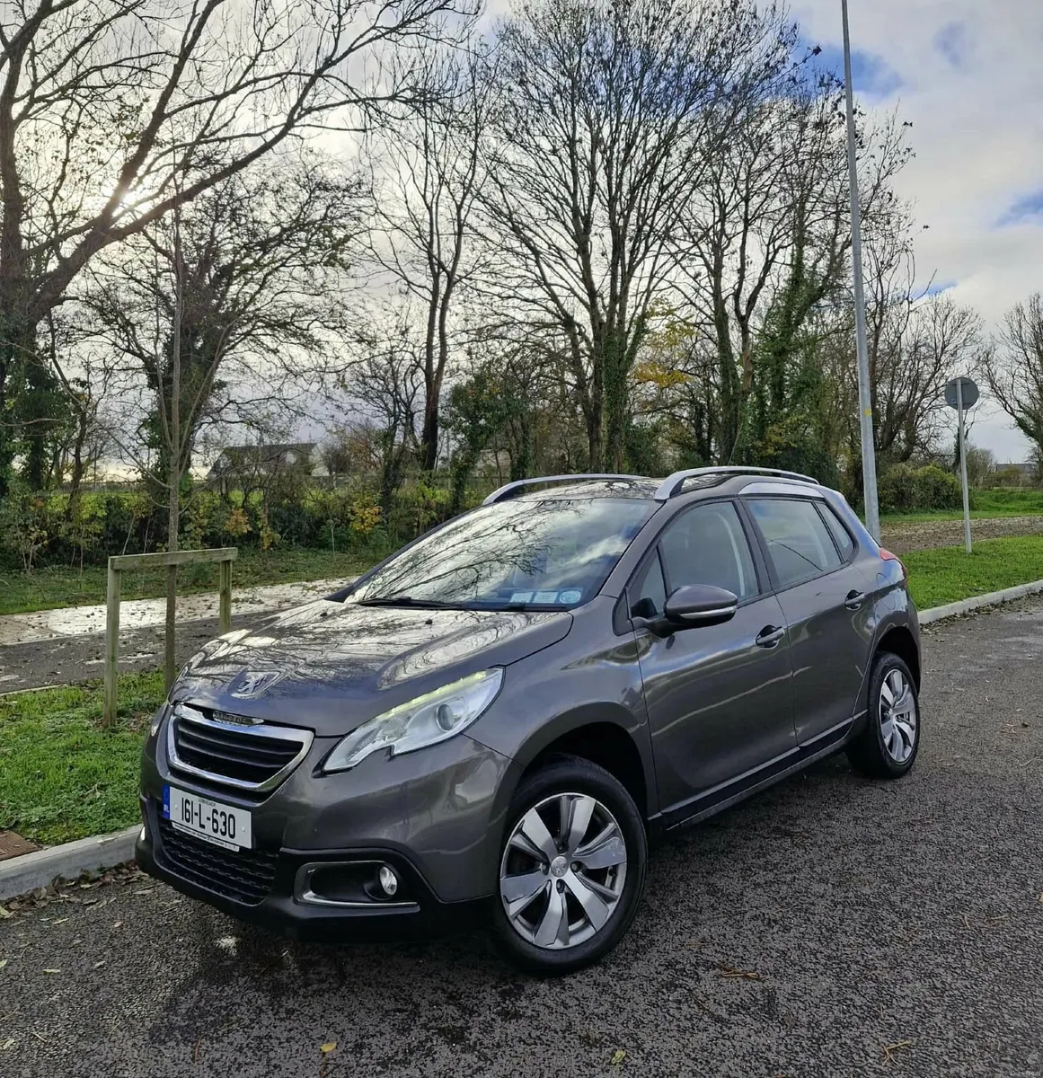 161 Peugeot 2008 1.6 Diesel - Image 2
