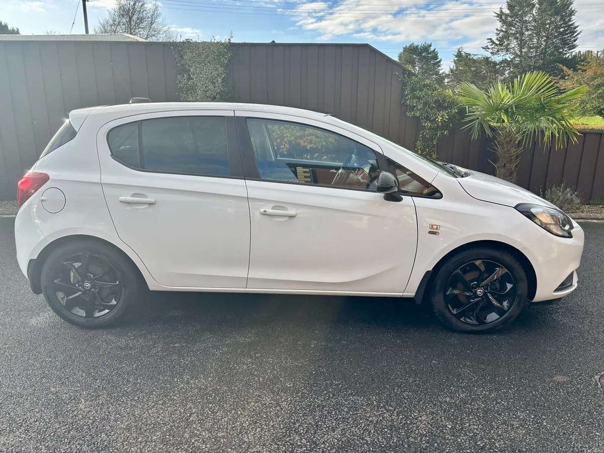 Corsa Griffin - Image 2