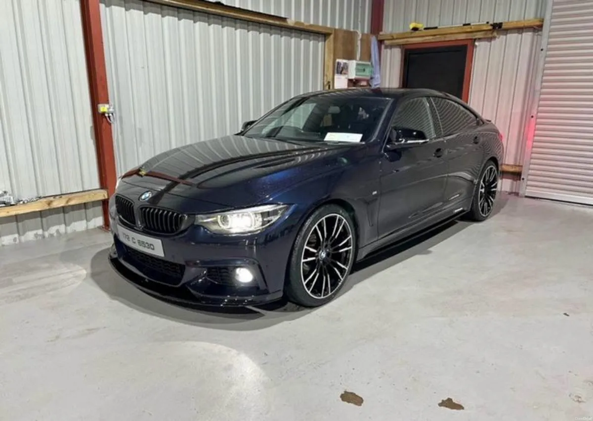 BMW 4 Series 420D M-Sport Gran Coupe (172) - Image 2