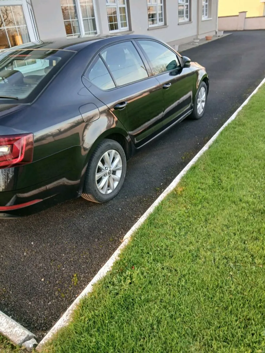 191 Skoda Octavia 1l Petrol - Image 3