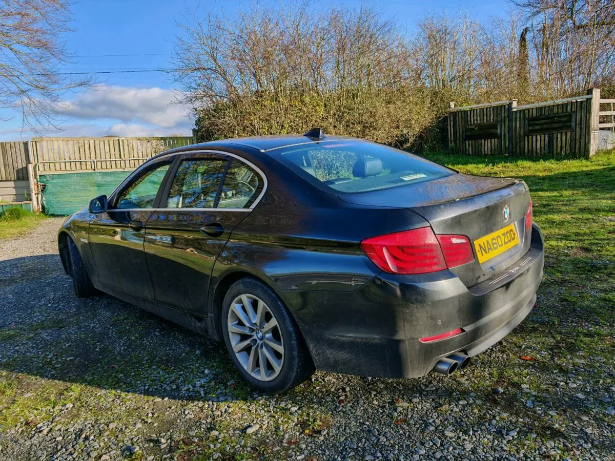 BMW 520d • 2010 - Image 2