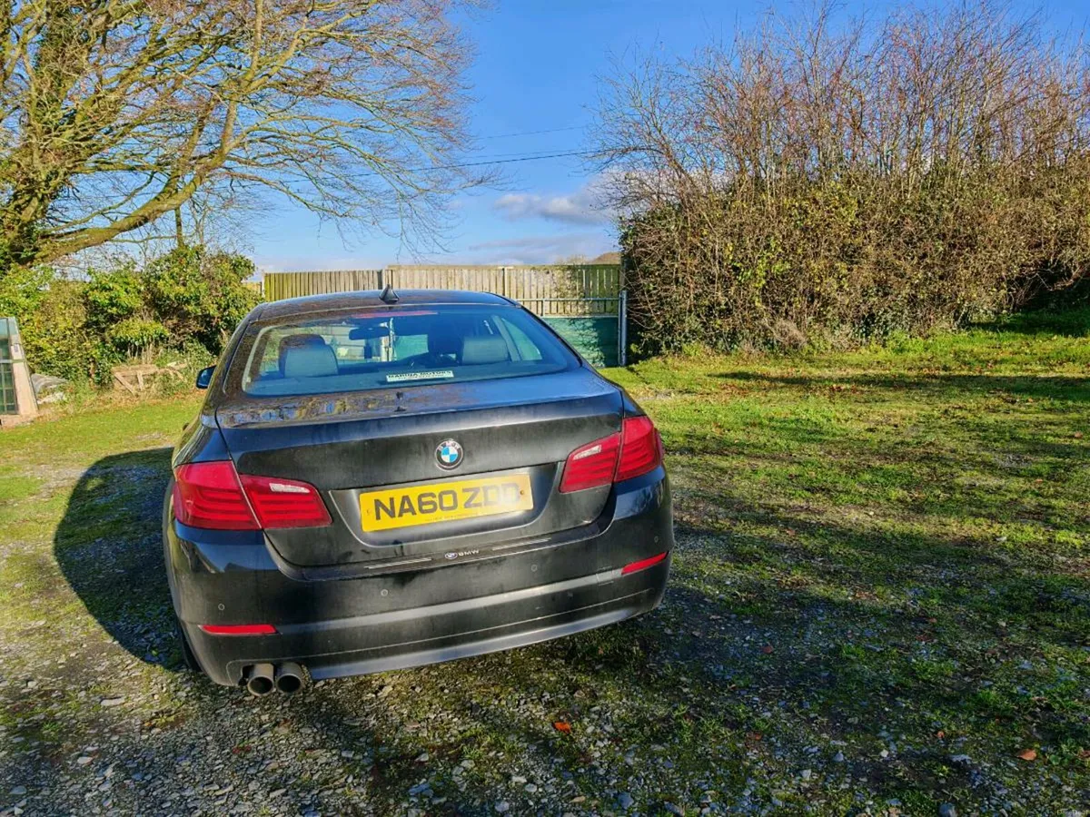 BMW 520d • 2010 - Image 3