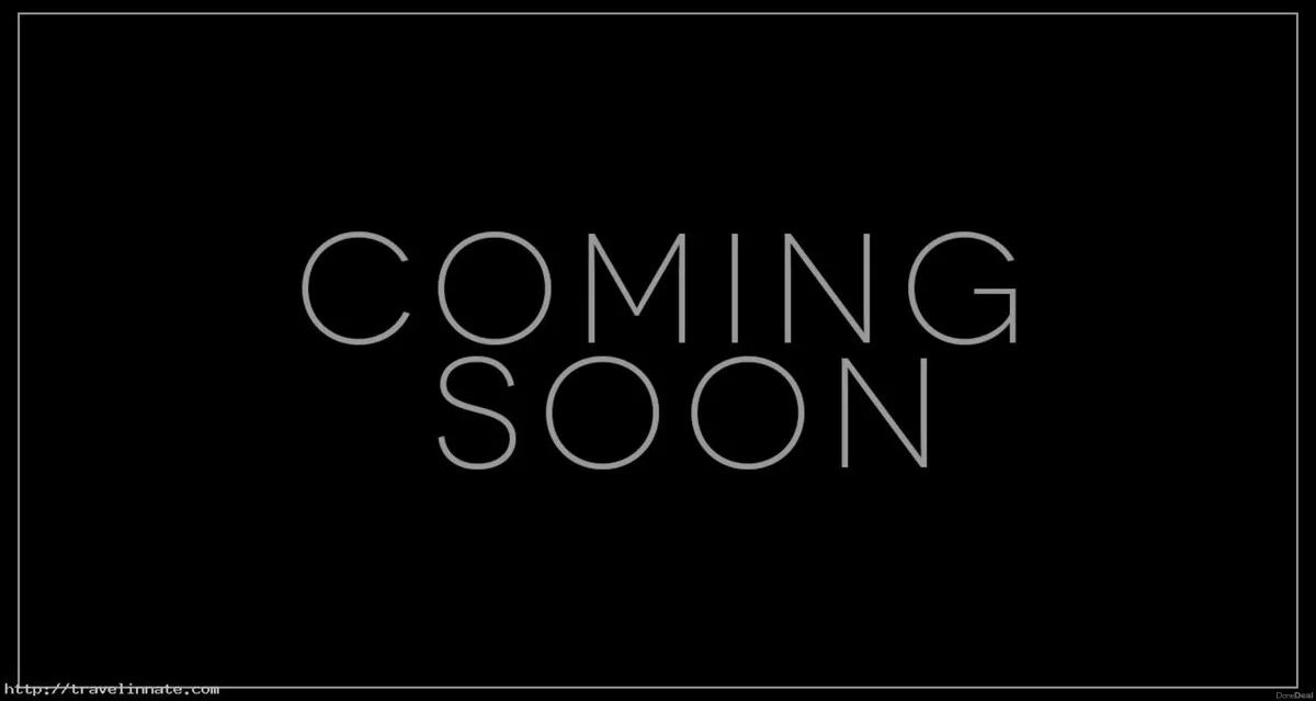 2025 (251) Tesla Model 3 RWD - Image 1