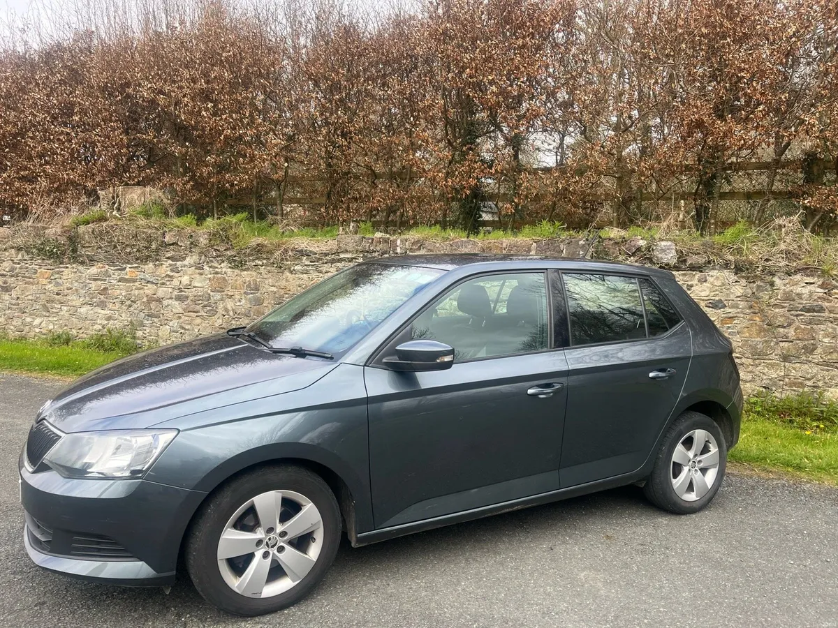 Skoda Fabia 2017 1.0L petrol - Image 2