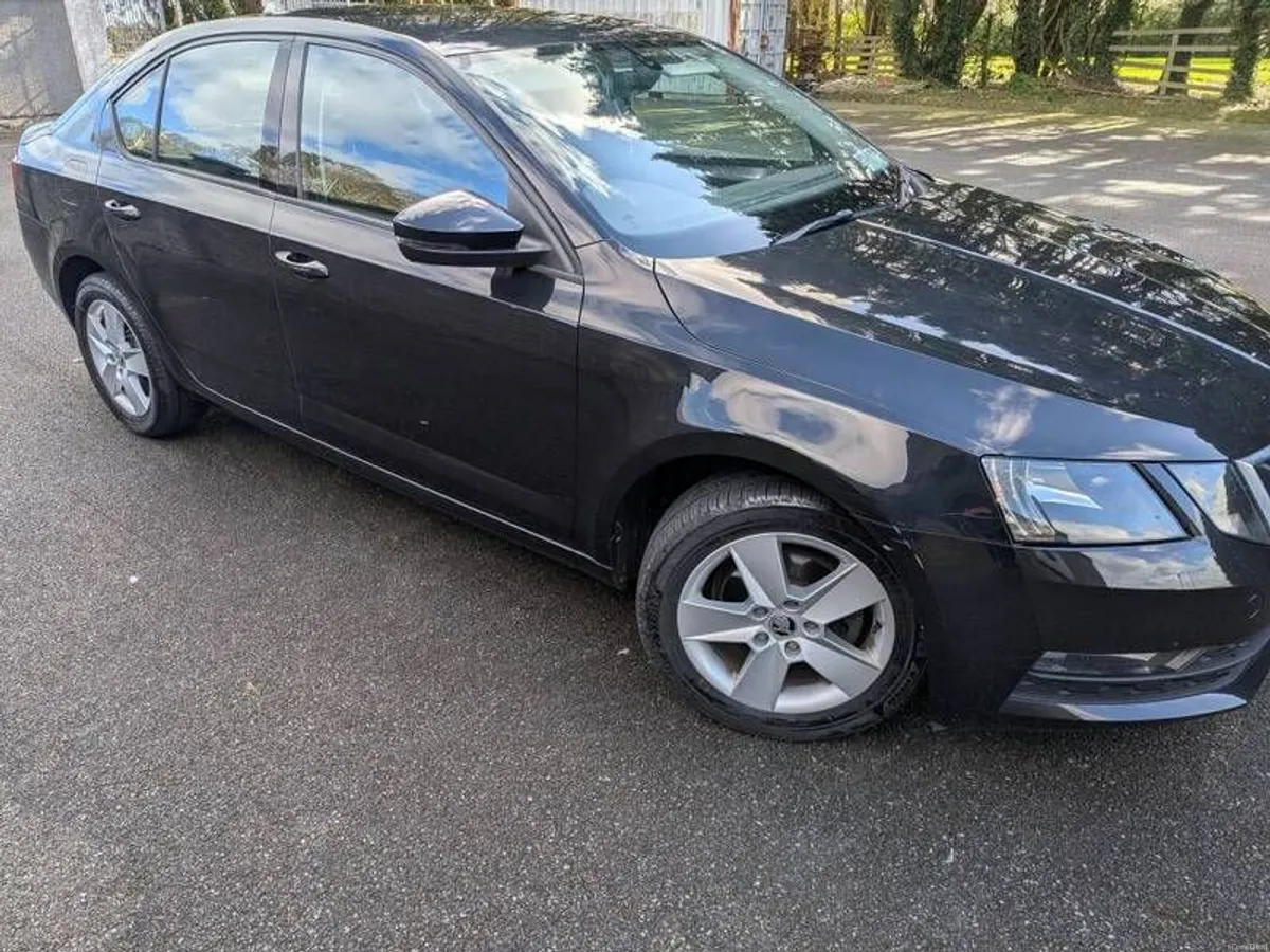 2019 Skoda Octavia - Image 4
