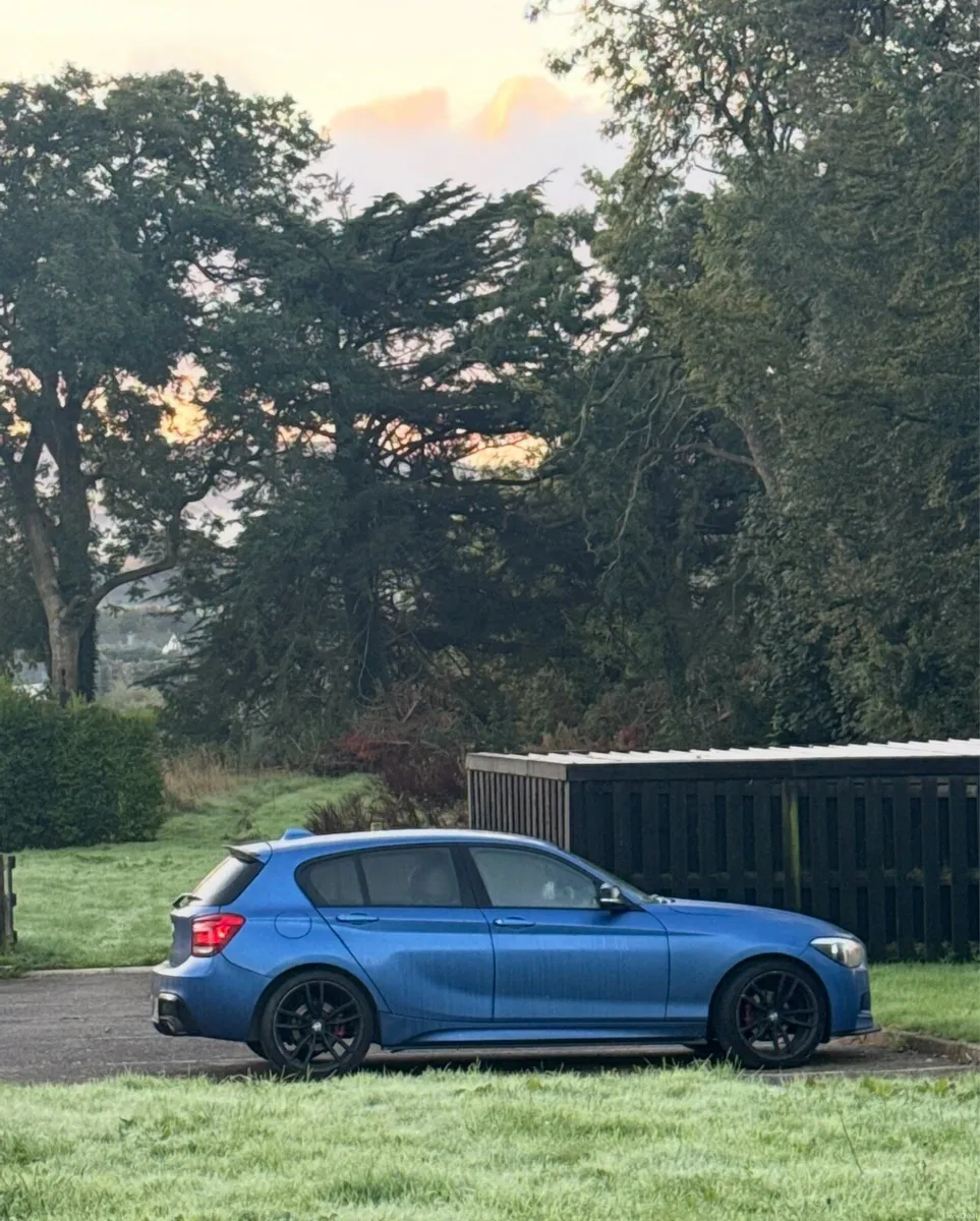 BMW 1 series f20D - Image 3