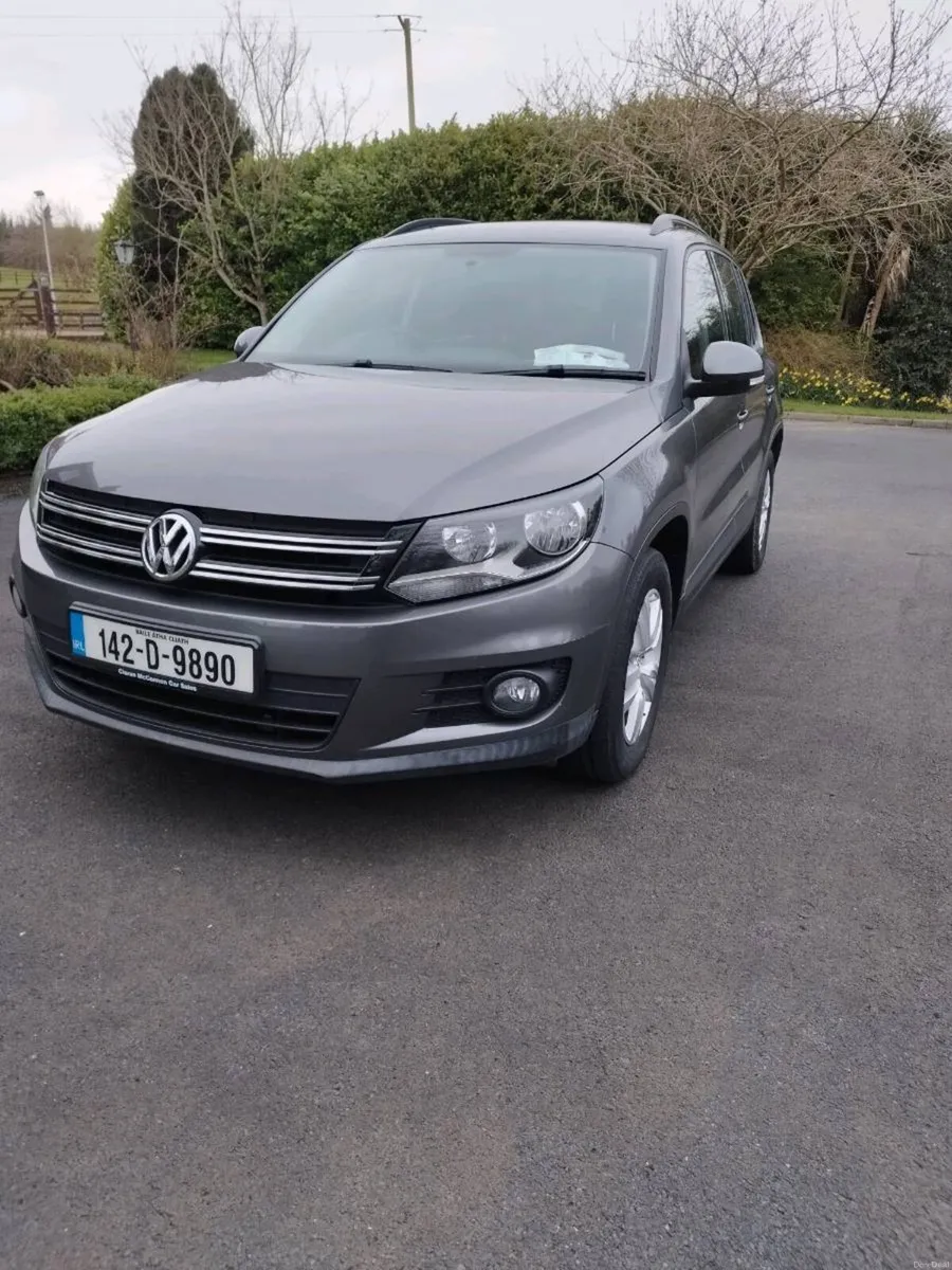 Tiguan - Image 2
