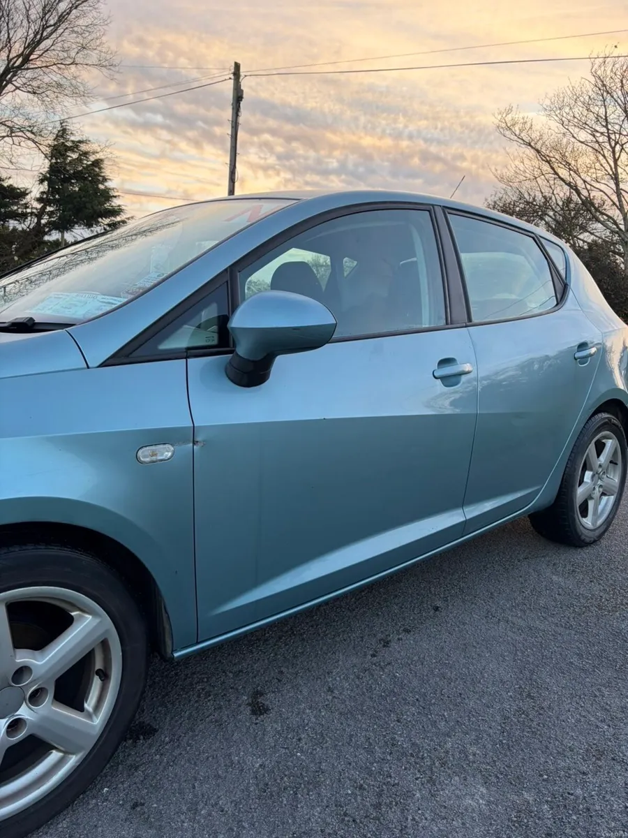 2010 Seat Ibiza - Image 3