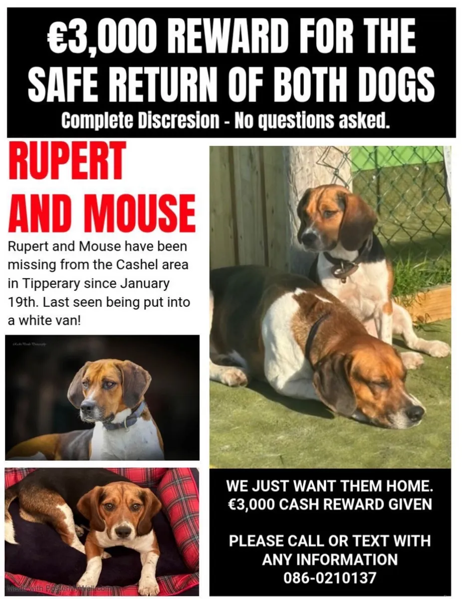 Reward for Mouse and Rupert - Image 1