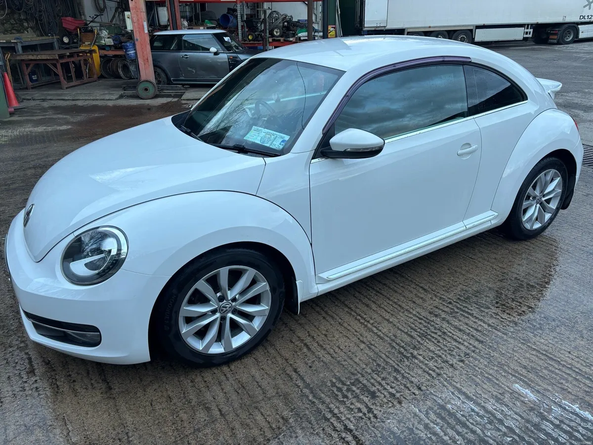 Volkswagen Beetle - Image 4
