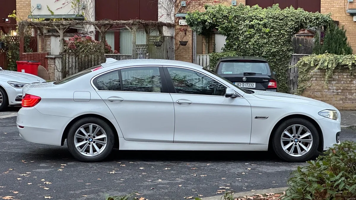 BMW 520d (132) - Image 3