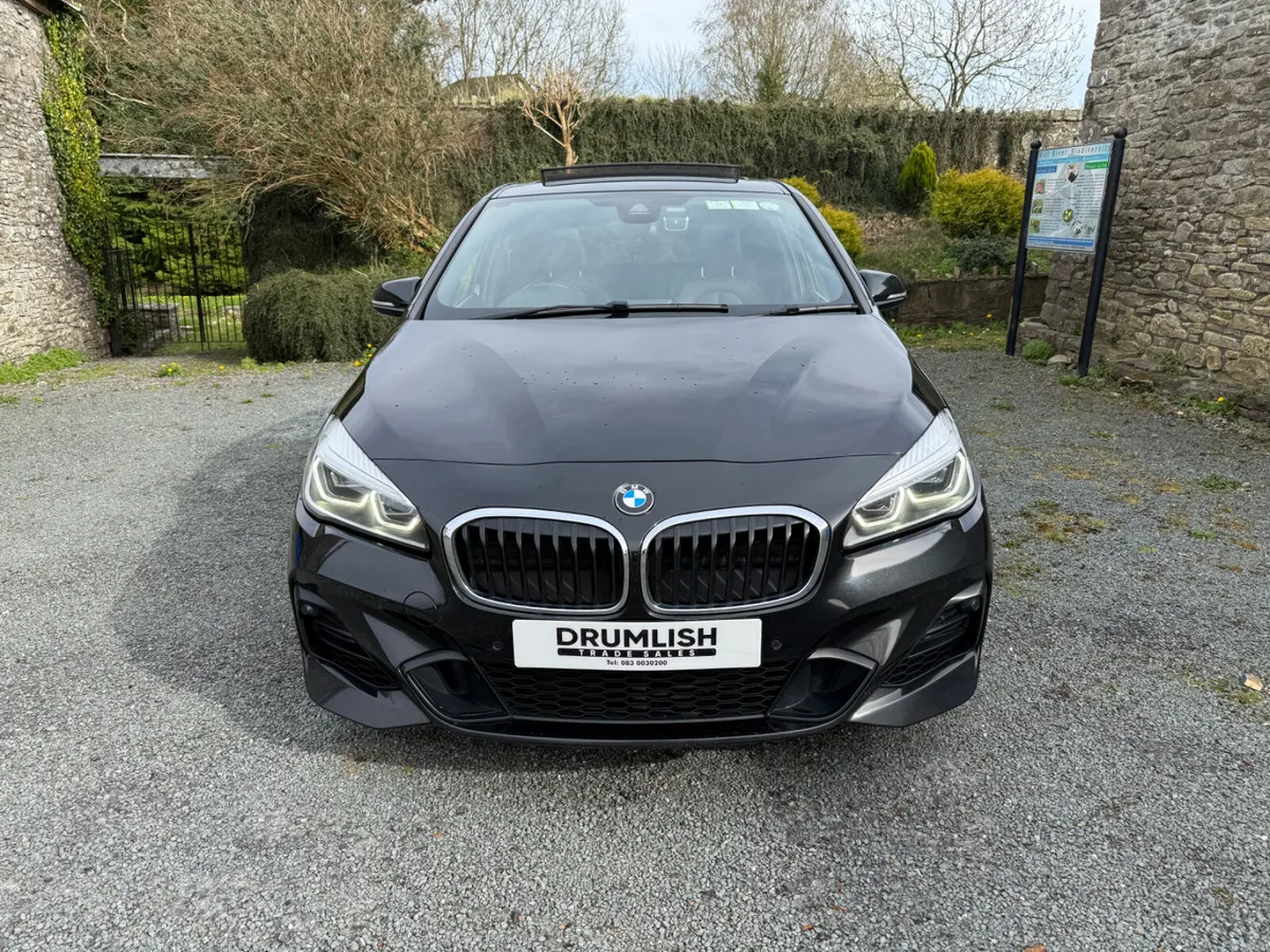 2018 BMW 2-Series 225XE M Sport Pro PHEV 5DR - Image 3
