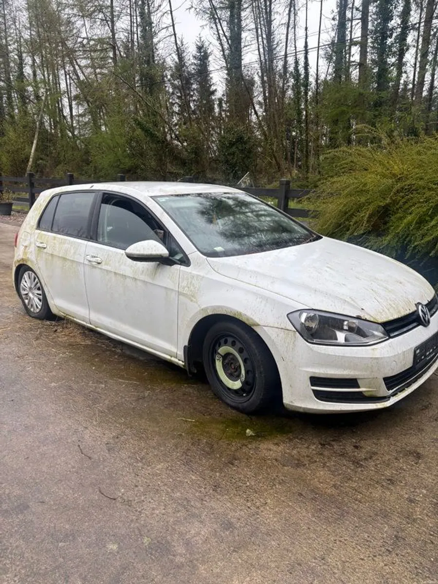 2013 Volkswagen Golf - Image 2