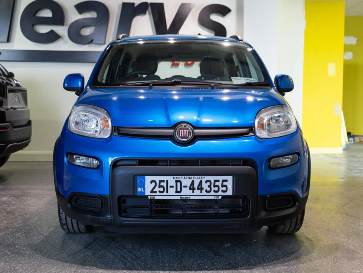Fiat Panda 1.0 MHEV - Image 2