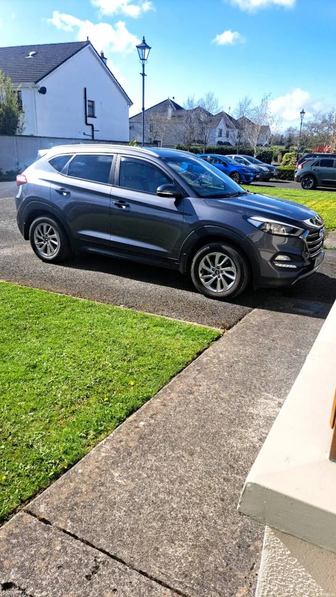 Hyundai Tucson executive door - Image 1