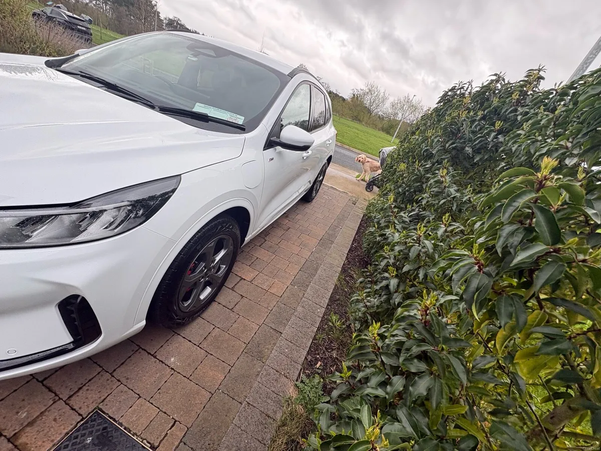 252 Ford Kuga St Line PHEV with Winter Pack - Image 4