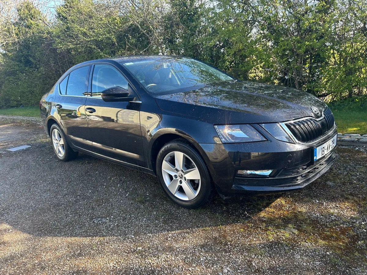 Skoda Octavia 1.2 petrol 2018 - Image 4