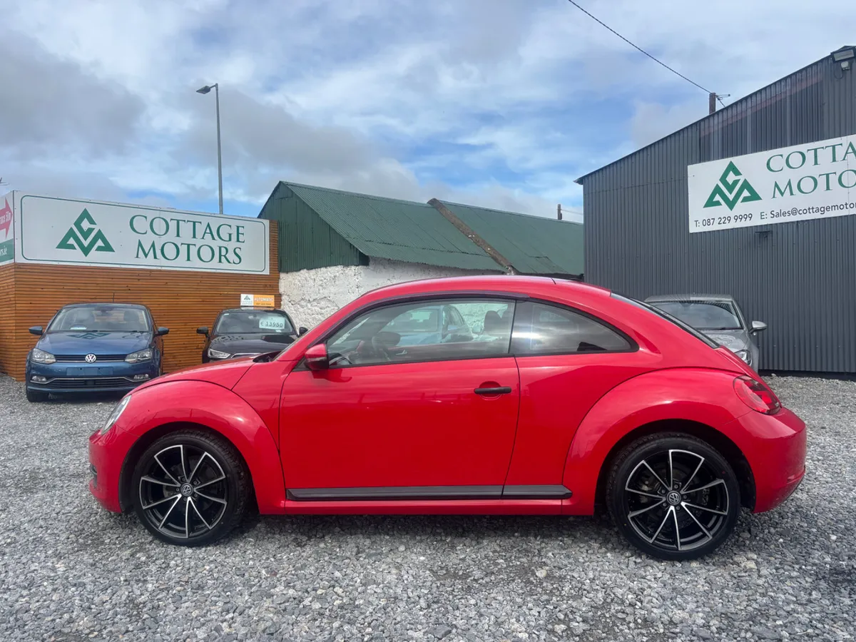 Volkswagen Beetle - Image 3