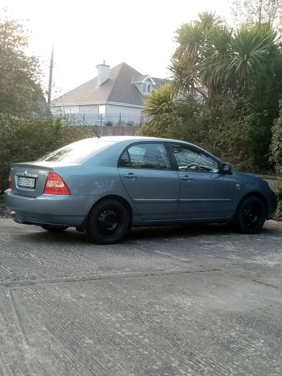 Corolla - Image 1