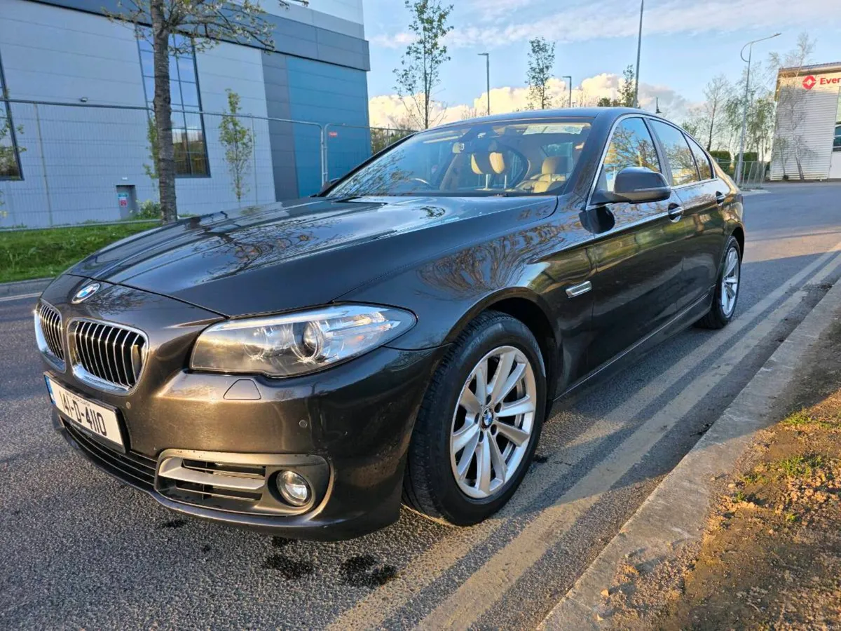 Bmw 518d SE Auto - Image 2