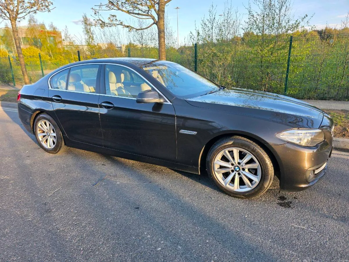 Bmw 518d SE Auto - Image 4