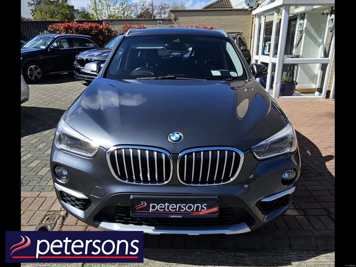 BMW X1 F48 X-DRIVE 18D X-LINE 5DR - Image 4