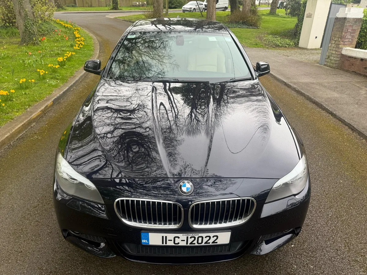 BMW 520D M-Sport (manual) - Image 2