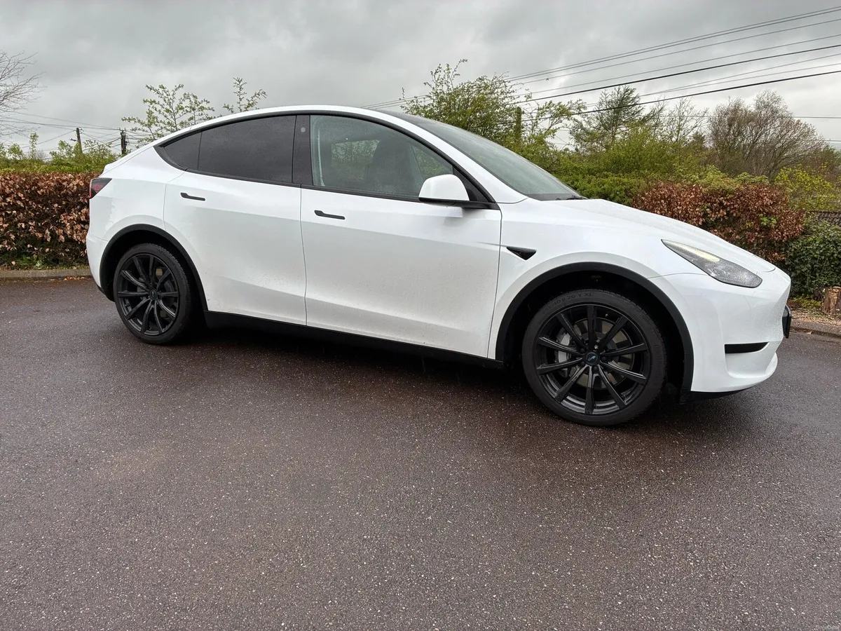 Tesla Model Y - Image 1
