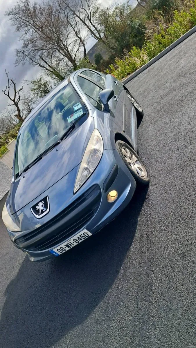 Peugeot 207 1.6 diesel - Image 2