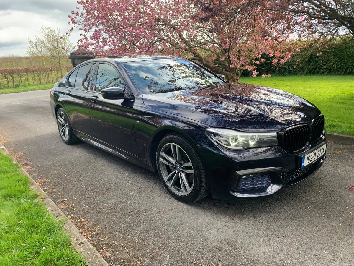 BMW 7-Series 2016 730d M-SPORT - Image 2