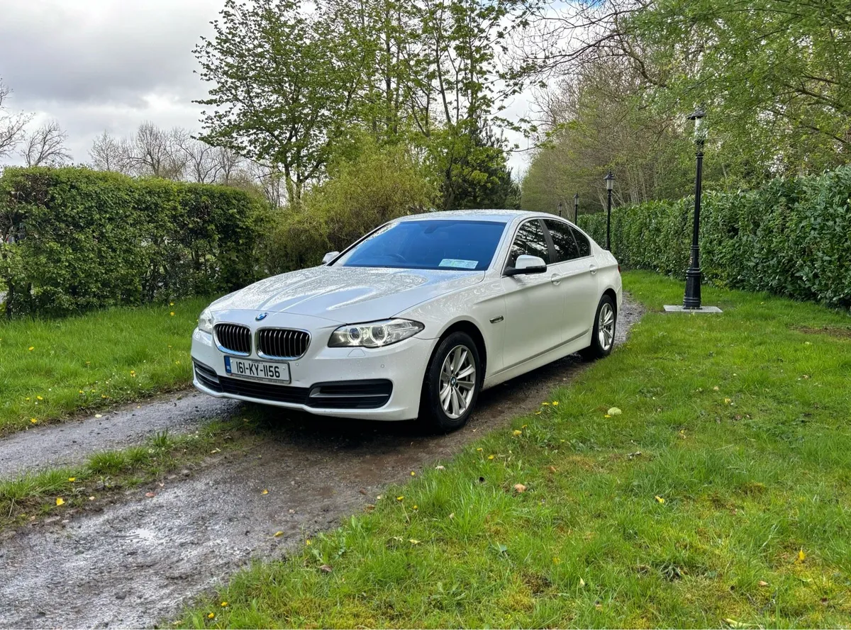 161 BMW 520D - Image 1