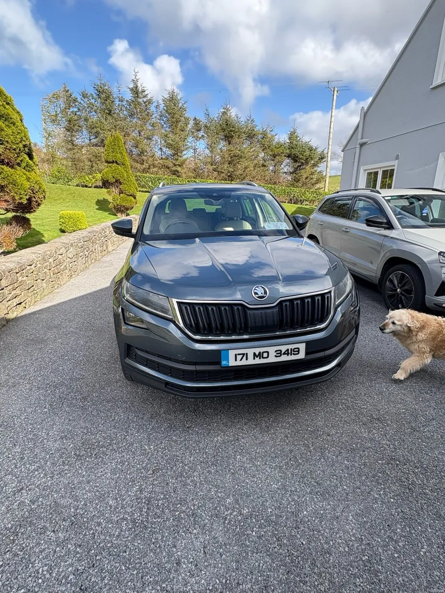 171 Skoda Kodiaq - Image 1