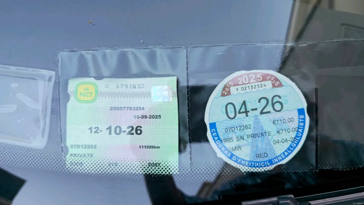 2007 Bmw 318i - Image 3