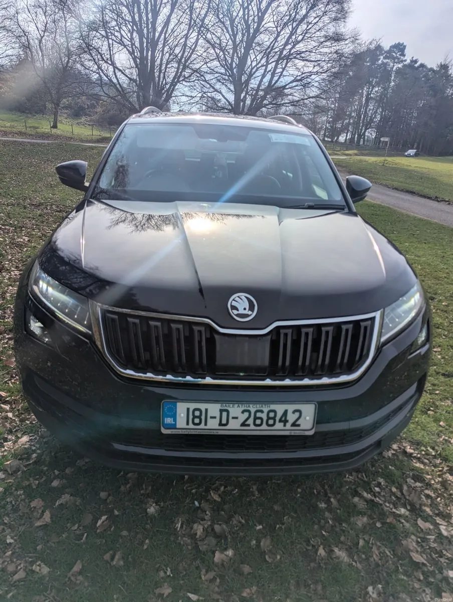 Skoda Kodiaq 2018 - Image 1