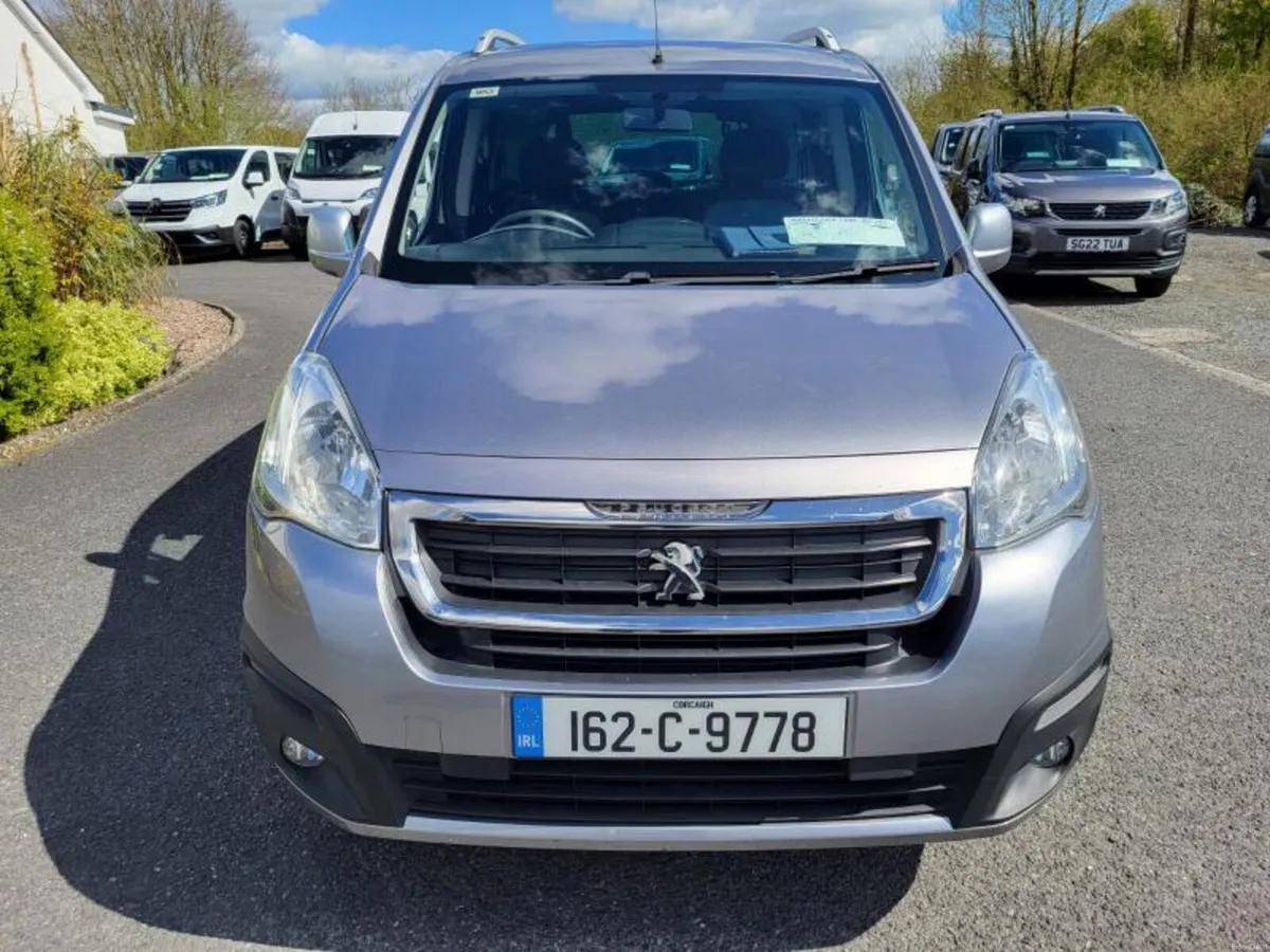 Wheelchair Accessible Petrol - Image 2