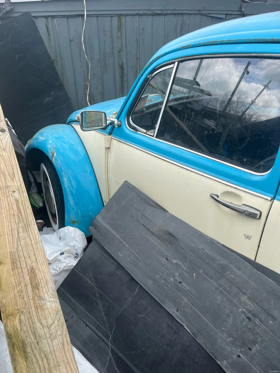 Volkswagen Beatle - Image 2
