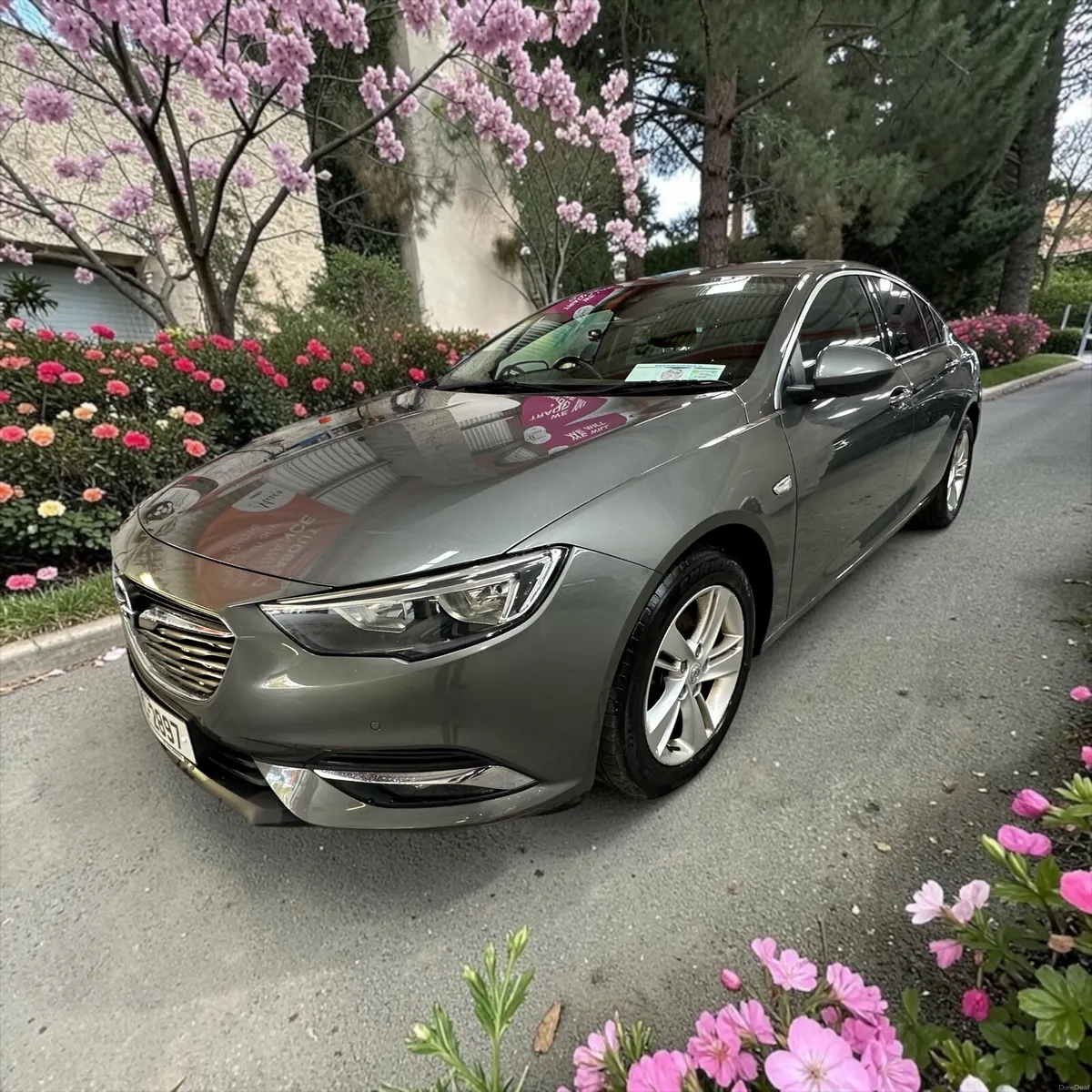 2019 Opel Insignia 1.5 (140PS) Turbo SE Petrol - Image 1
