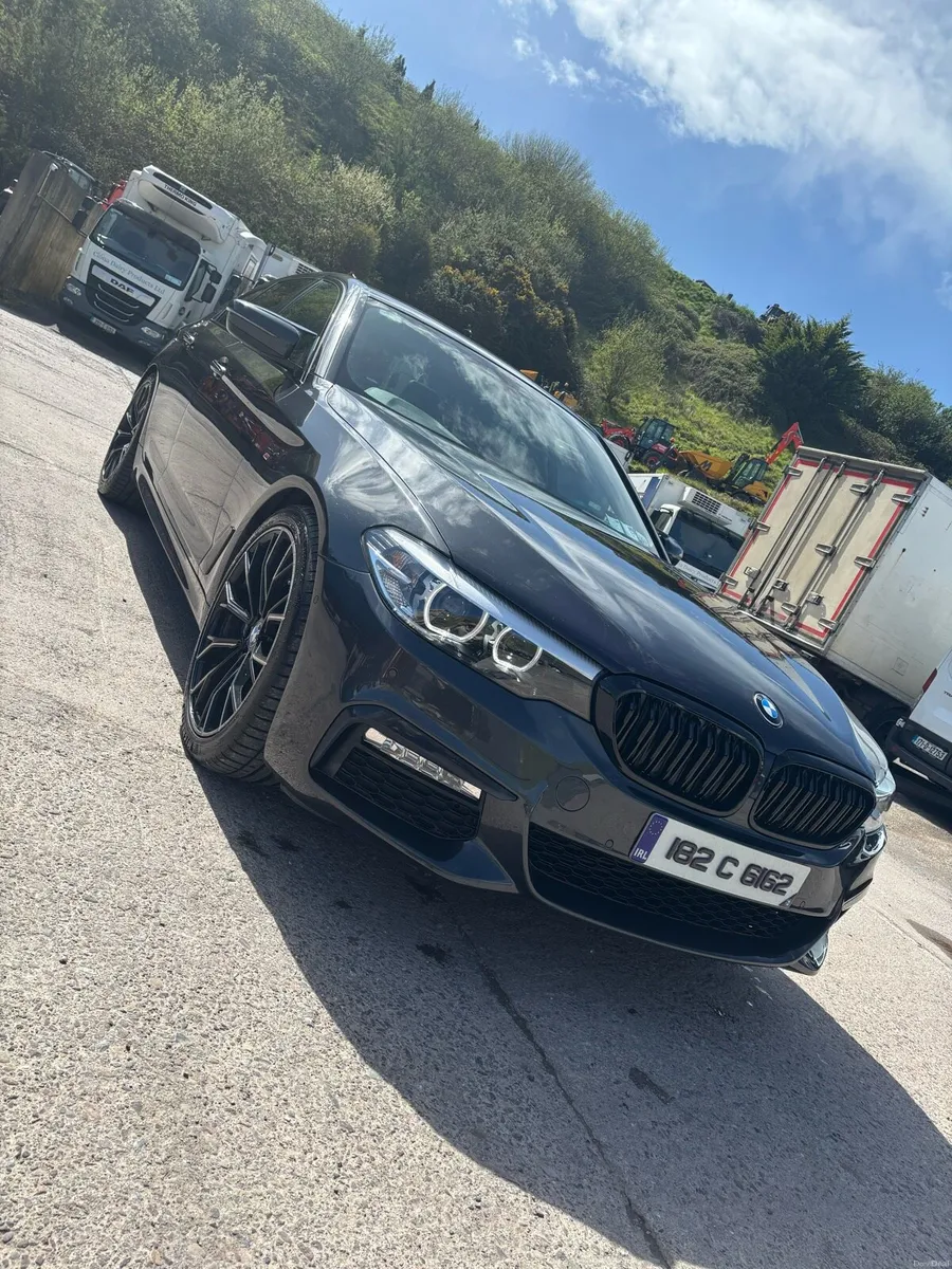 2018 520d - Image 1