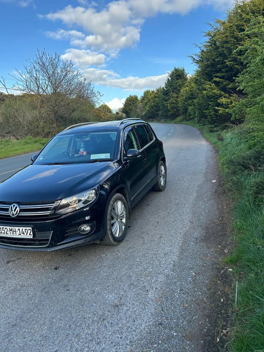 2015 Tiguan - Image 2