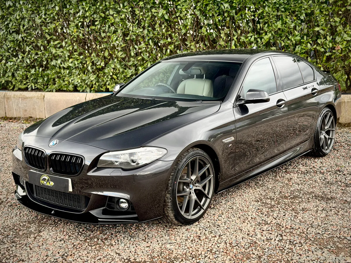 2014 BMW 5-Series 520d M Sport *NEW ALLOY'S* - Image 4