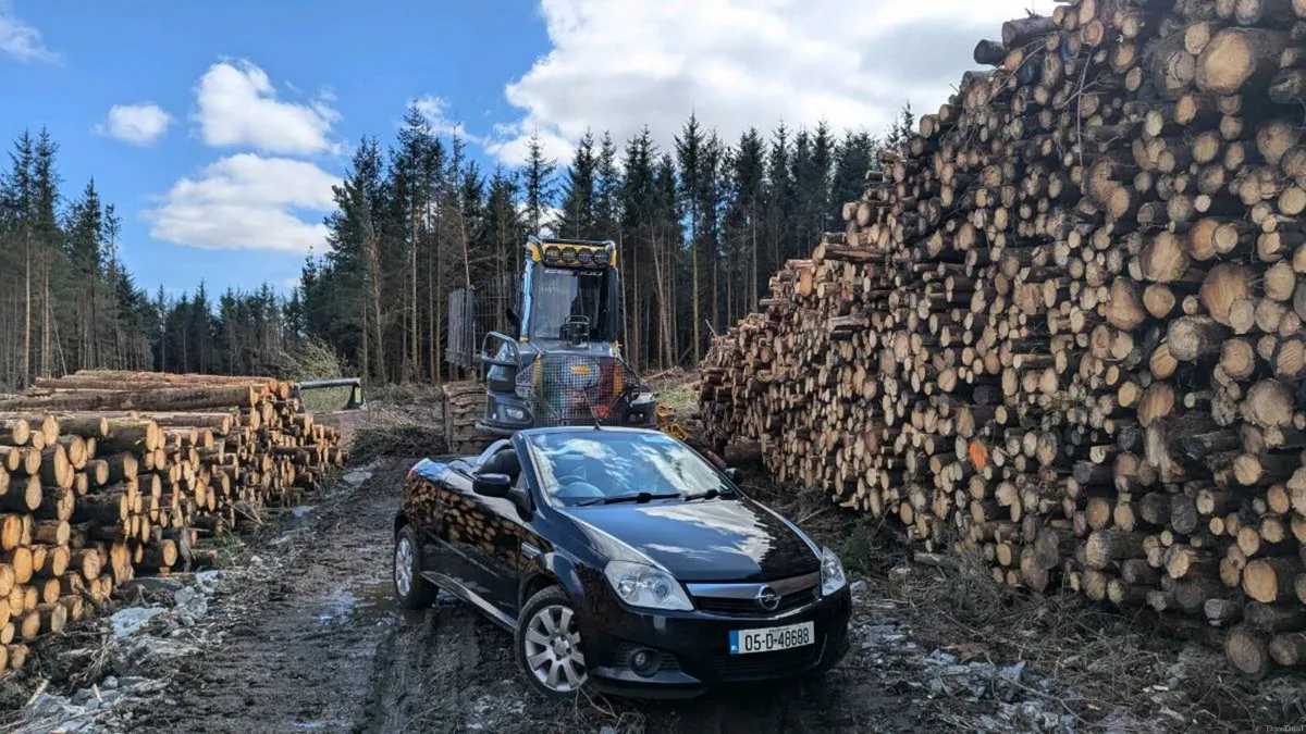 Opel Tigra - Image 1