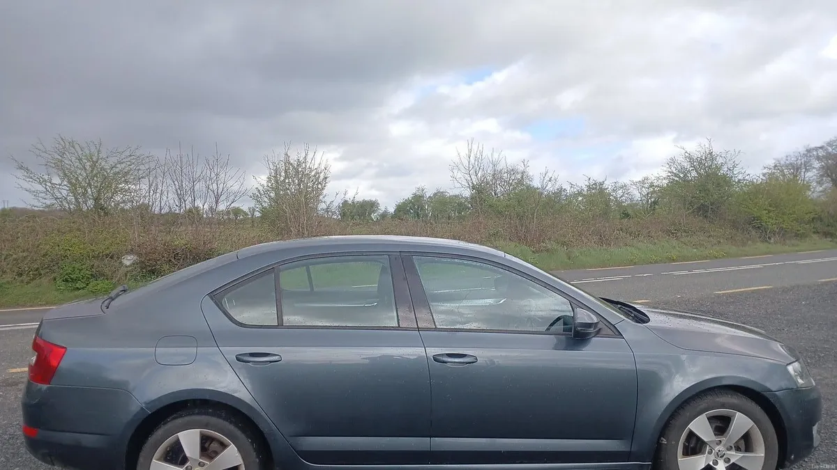 2016 [162] skoda octavia 1.6 diesel nct Dec 27 - Image 4