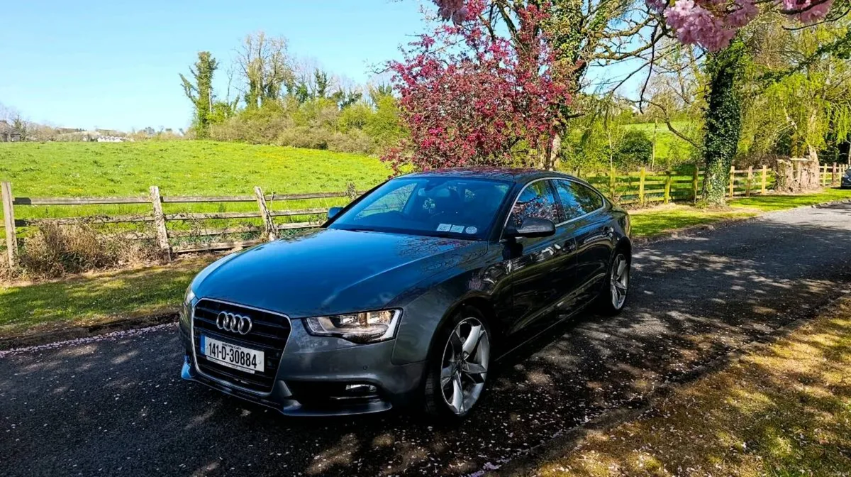 2014 Audi A5 Technik Sport back Auto Diesel - Image 1