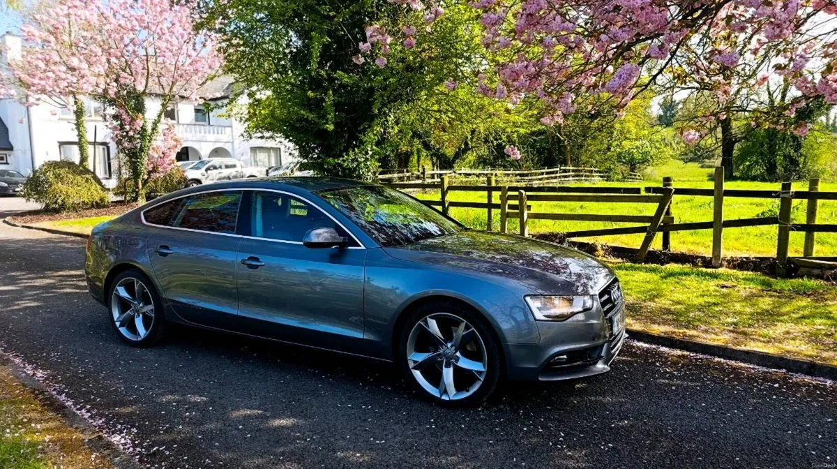 2014 Audi A5 Technik Sport back Auto Diesel - Image 2