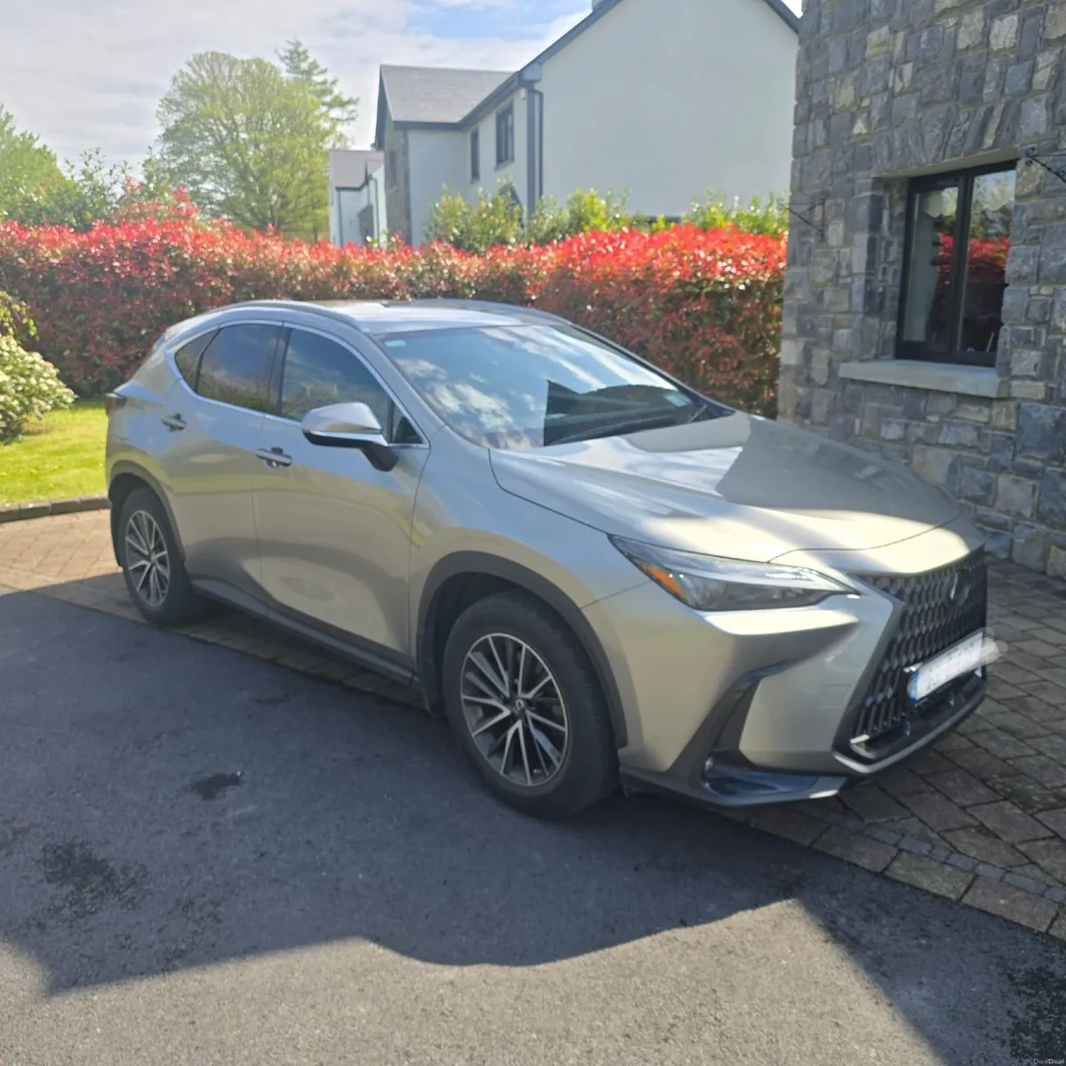 Lexus NX 2023 - Image 1